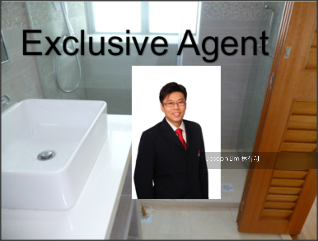 Bishan Loft (D20), Condominium #114924202
